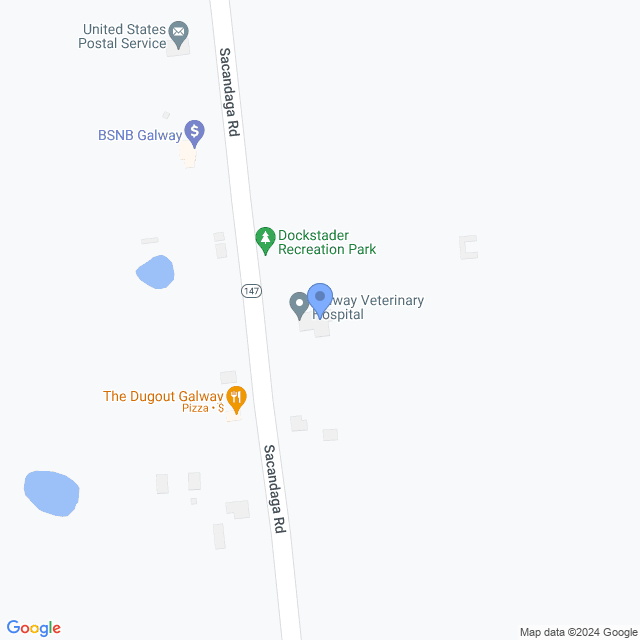 Map of veterinarians in Galway, NY