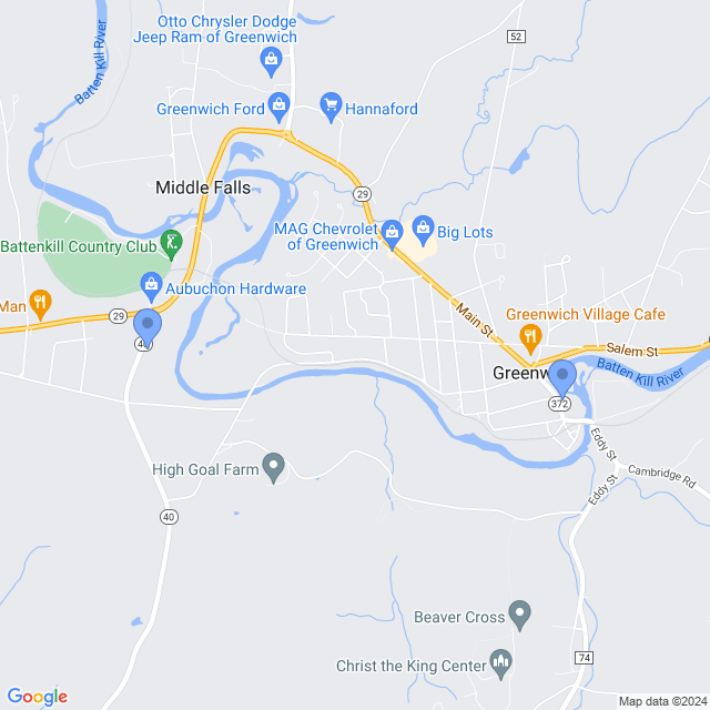Map of veterinarians in Greenwich, NY