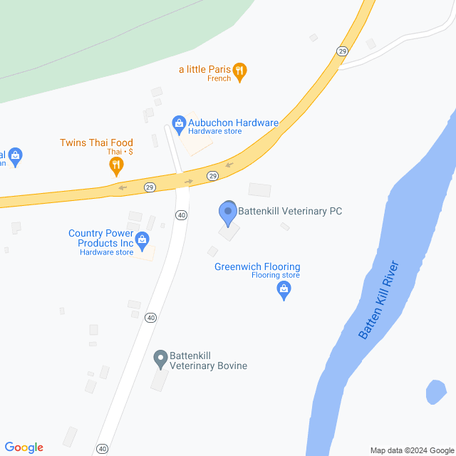 Map of veterinarians in Middle Falls, NY