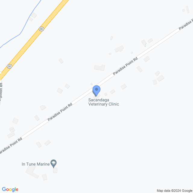 Map of veterinarians in Mayfield, NY