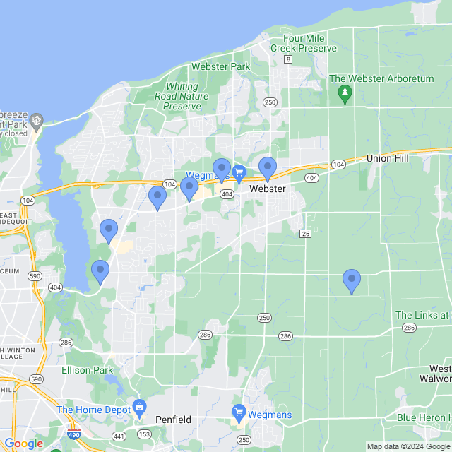 Map of veterinarians in Webster, NY