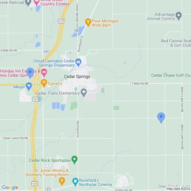 Map of veterinarians in Cedar Springs, MI