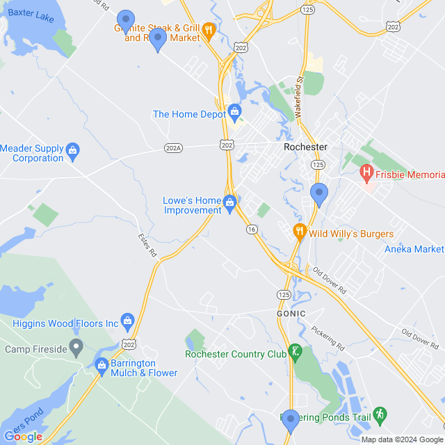 Map of veterinarians in Rochester, NH