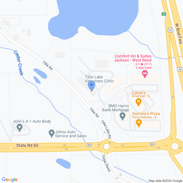 Map of veterinarians in Jackson, WI