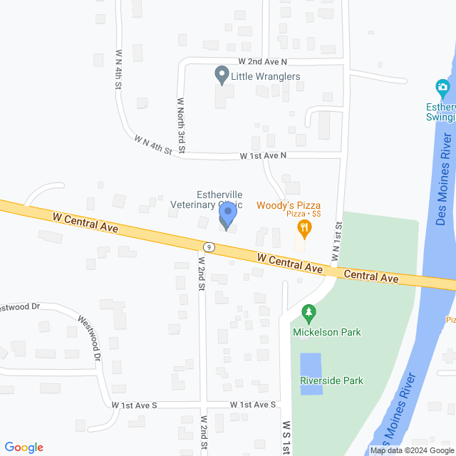 Map of veterinarians in Estherville, IA
