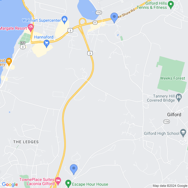 Map of veterinarians in Gilford, NH