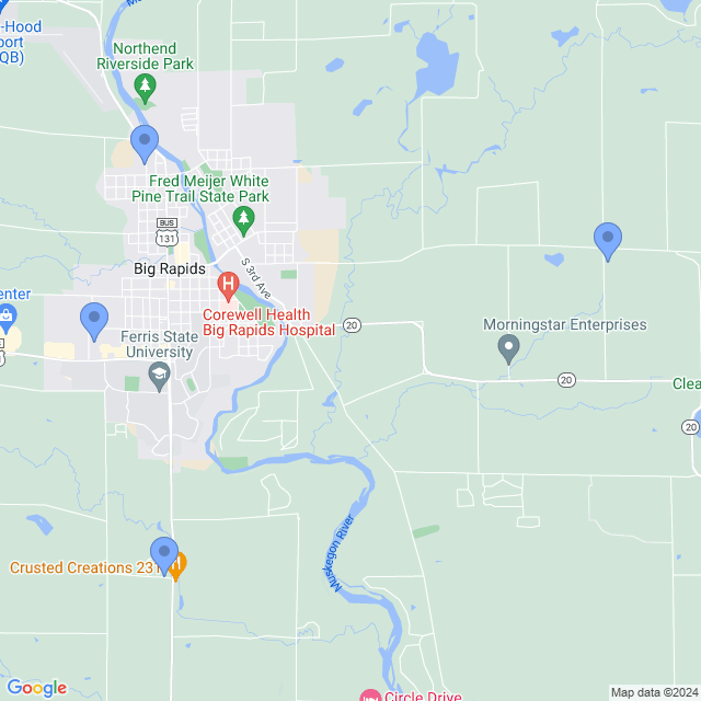 Map of veterinarians in Big Rapids, MI
