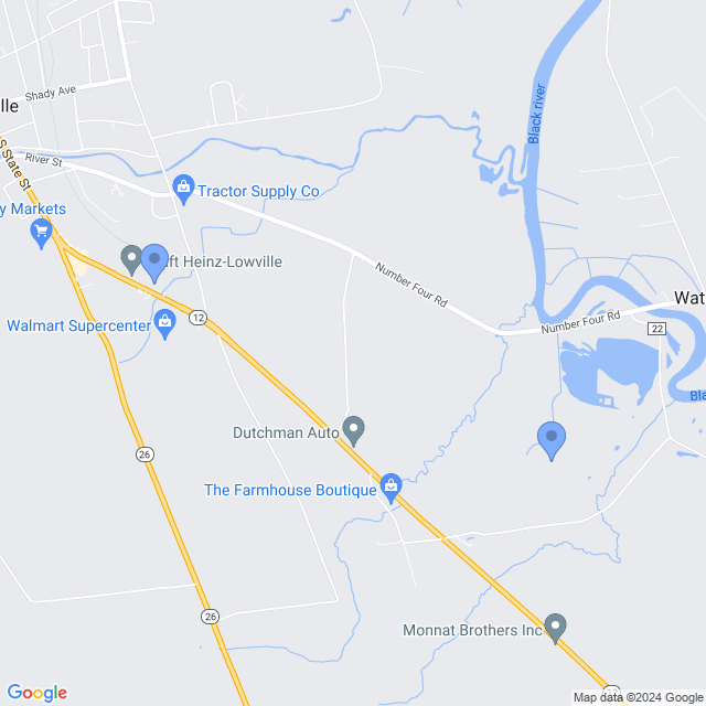 Map of veterinarians in Lowville, NY