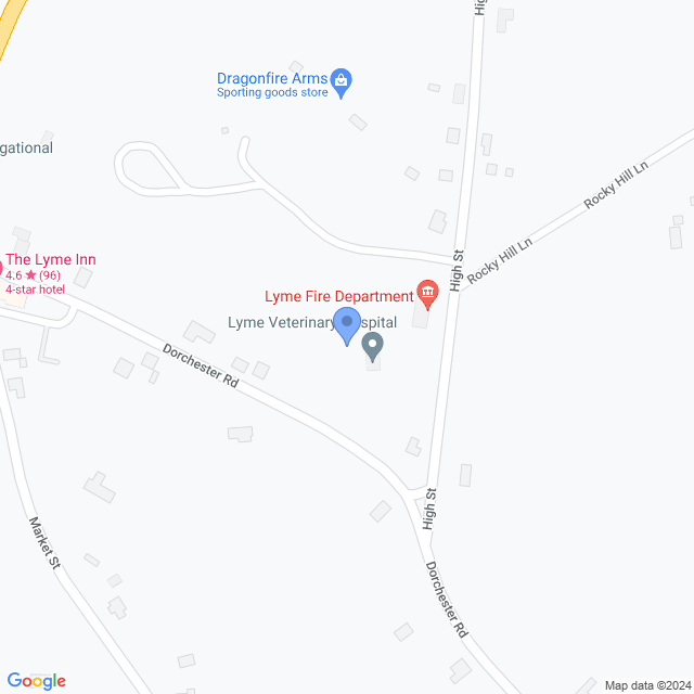 Map of veterinarians in Lyme, NH