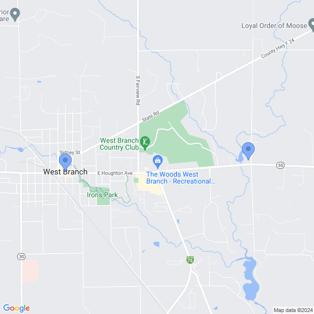 Map of veterinarians in West Branch, MI