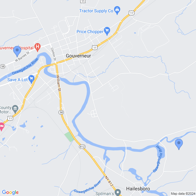 Map of veterinarians in Gouverneur, NY