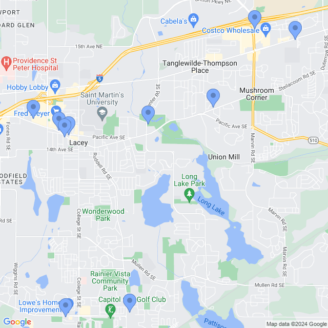Map of veterinarians in Lacey, WA