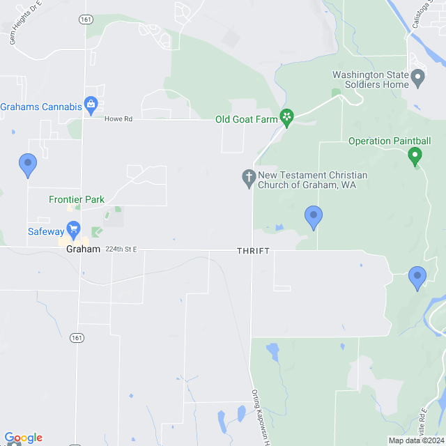 Map of veterinarians in Graham, WA