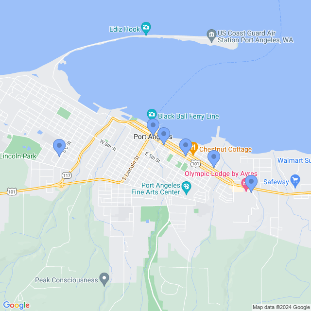 Map of veterinarians in Port Angeles, WA