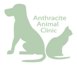 Anthracite Animal Clinic Logo