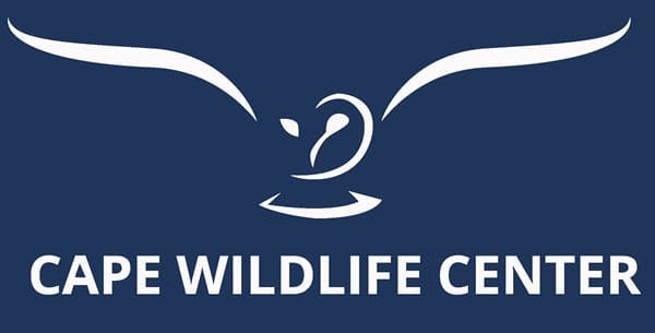 Cape Wildlife Center Logo