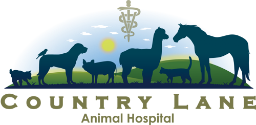 Country Lane Animal Hospital Logo