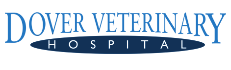 Dover Veterinary Hospital Logo