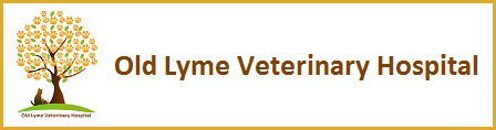 Old Lyme Veterinary Hospital Logo