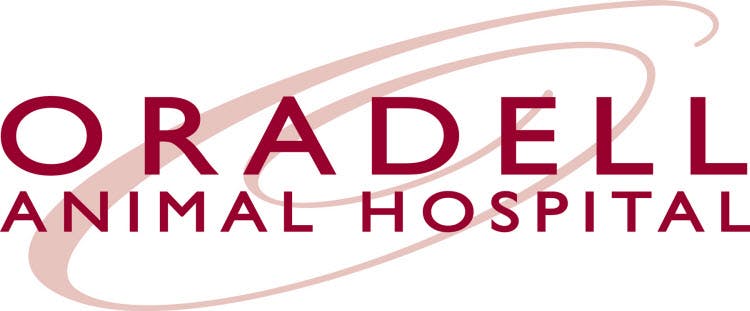 Oradell Animal Hospital Logo