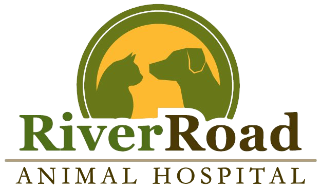 River Road Animal Hospital Logo