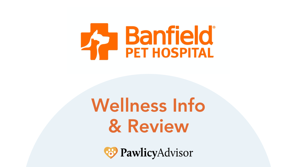 banfield pet insurance wellness info and review