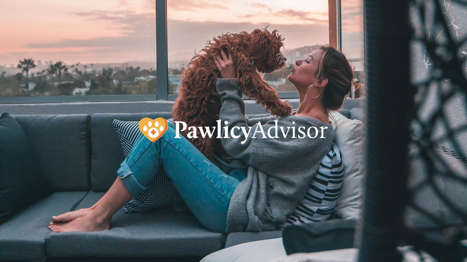 Pawlicy Advisor analyzed pet insurance options for tens of thousands of dogs and cats. This 2019-2020 report reveals unique statistics of pet parents interested in pet insurance.