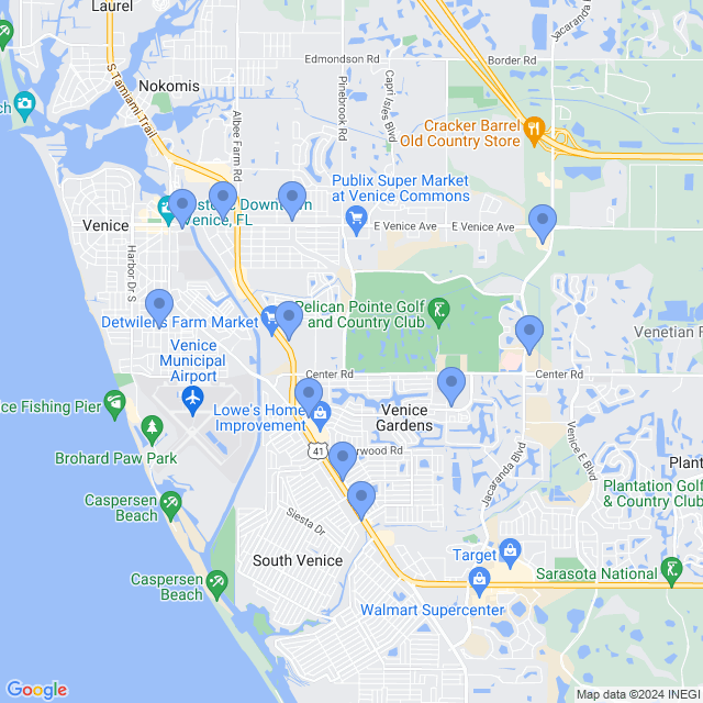 Map of veterinarians in Venice, FL
