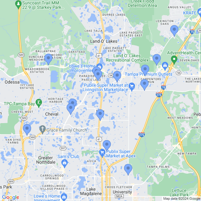 Map of veterinarians in Lutz, FL