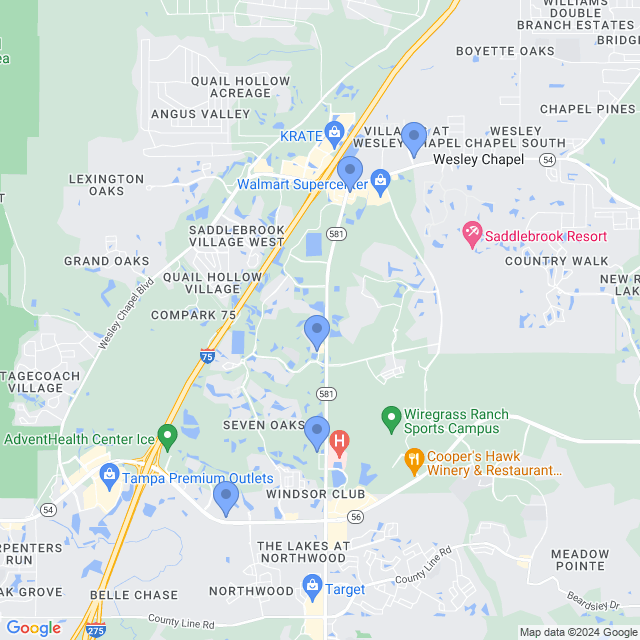 Map of veterinarians in Wesley Chapel, FL