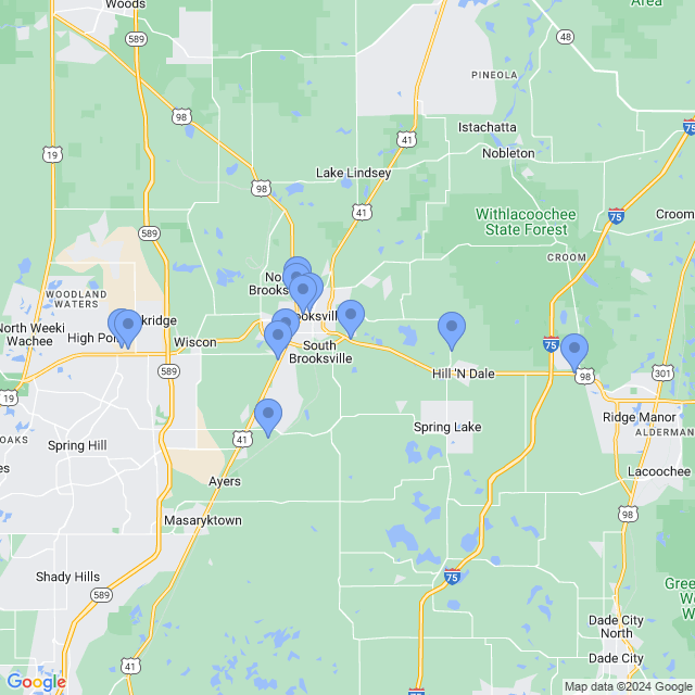 Map of veterinarians in Brooksville, FL