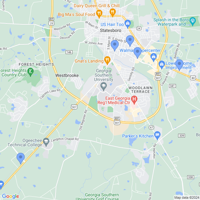 Map of veterinarians in Statesboro, GA