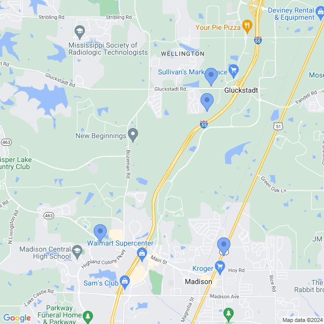 Map of veterinarians in Madison, MS