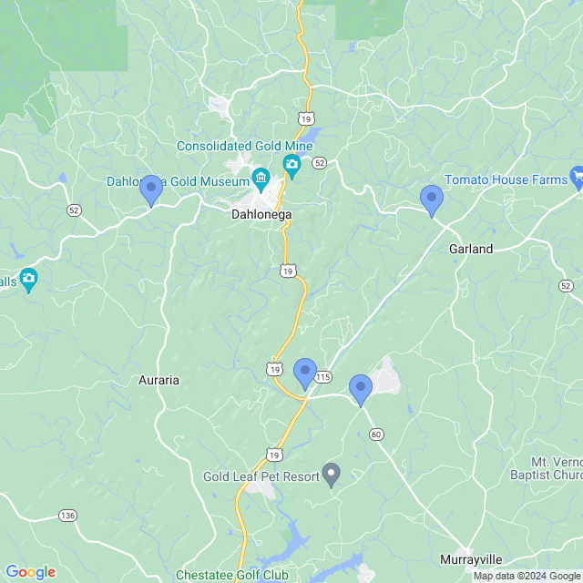 Map of veterinarians in Dahlonega, GA