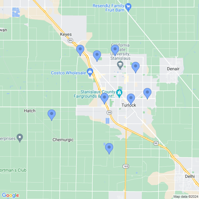 Map of veterinarians in Turlock, CA