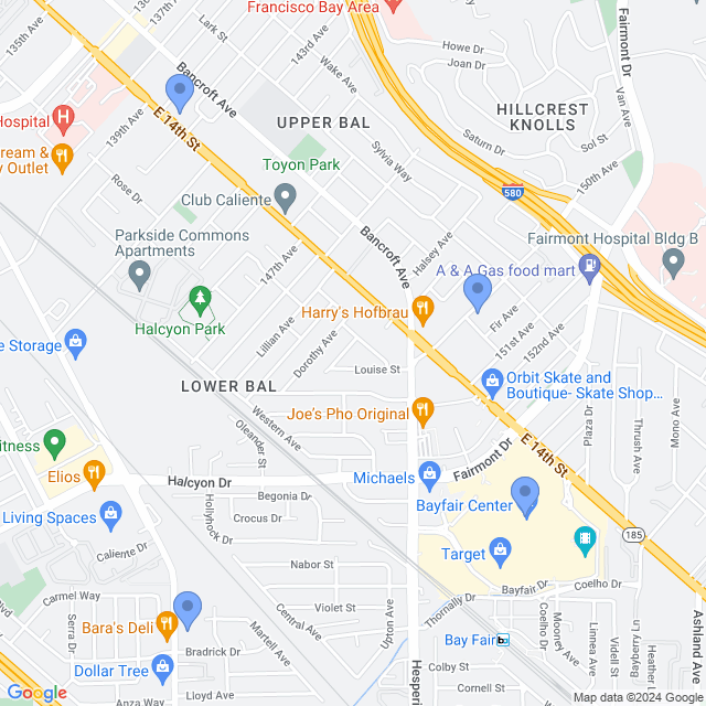 Map of veterinarians in San Leandro, CA