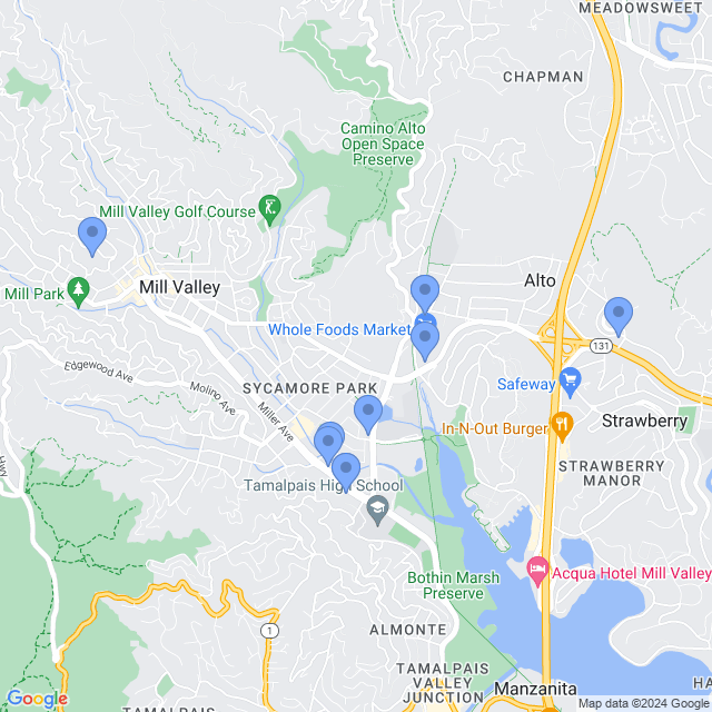 Map of veterinarians in Mill Valley, CA