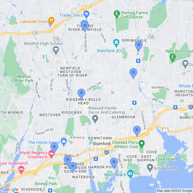 Map of veterinarians in Stamford, CT