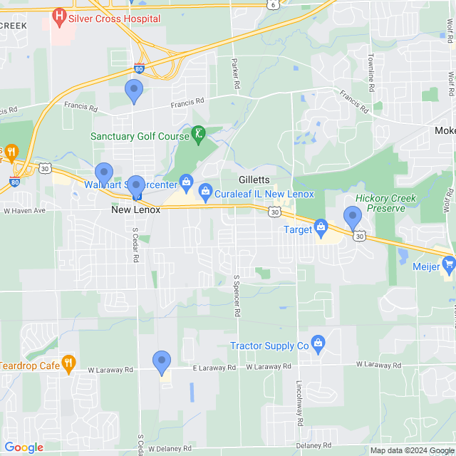 Map of veterinarians in New Lenox, IL