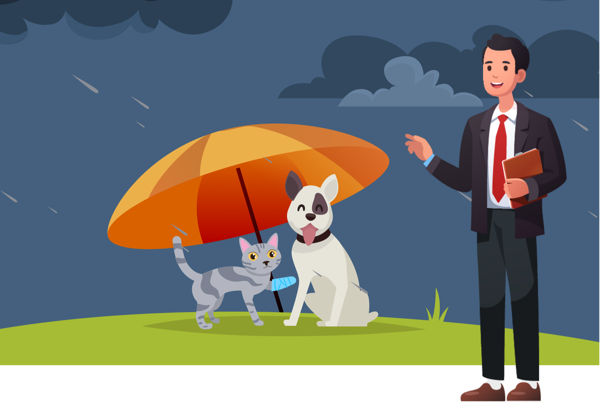 A free online webinar that help veterinary staff learn about pet insurance.